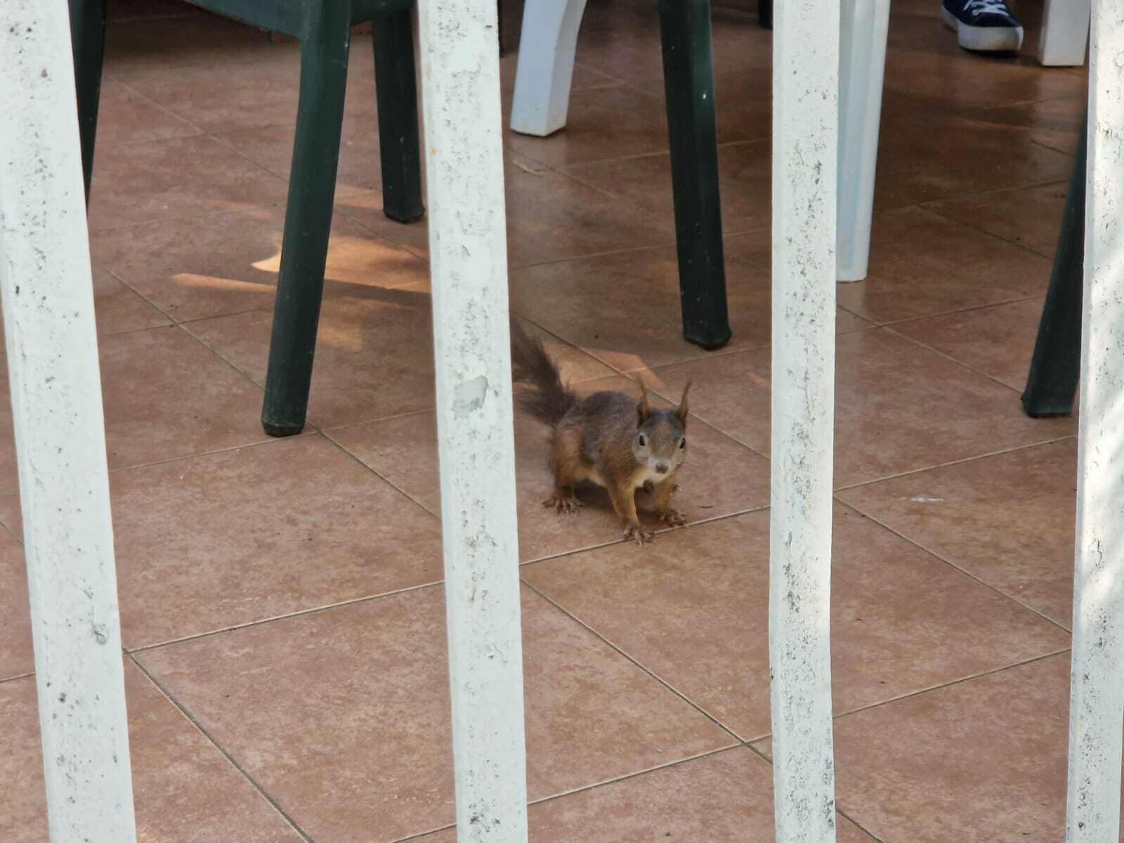 süßer Besuch auf der Schülerterrasse
